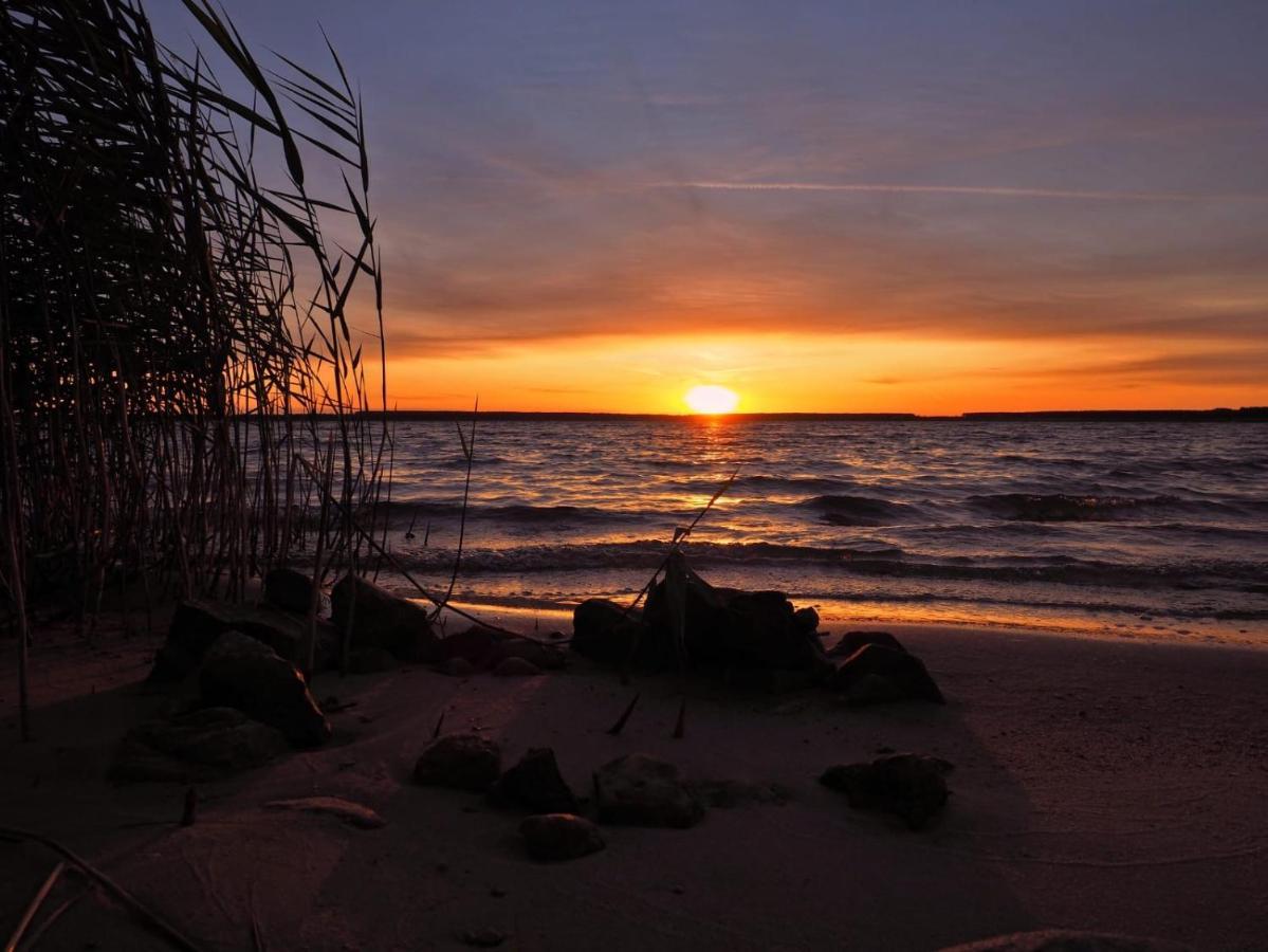 Altes Gewoelbe Mit Sauna Und Whirlpool Im Aussenbereich Elsterheide Buitenkant foto